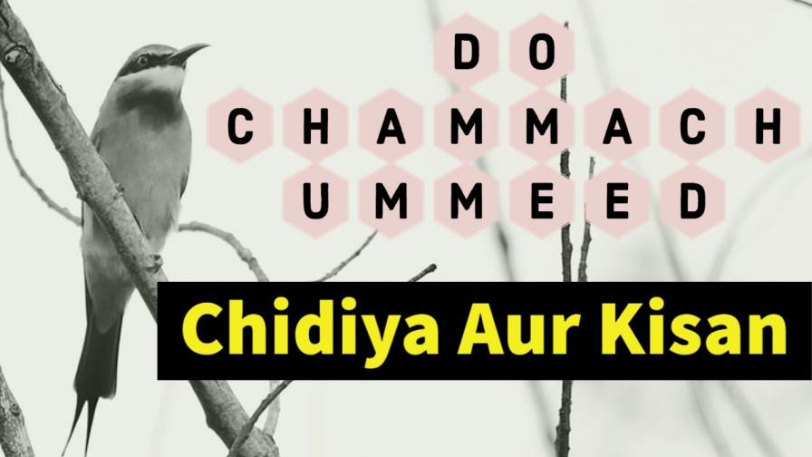 do chammach ummeed